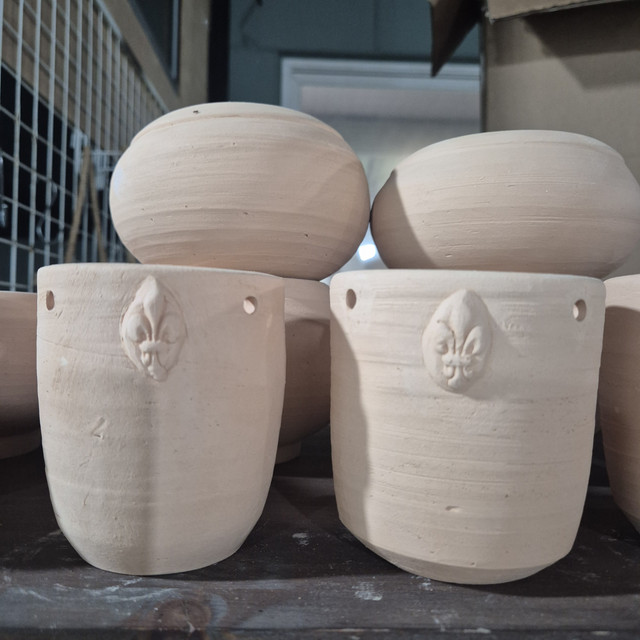 아이 스스로 식물 돌봄 지속가능성까지 배우는 교육